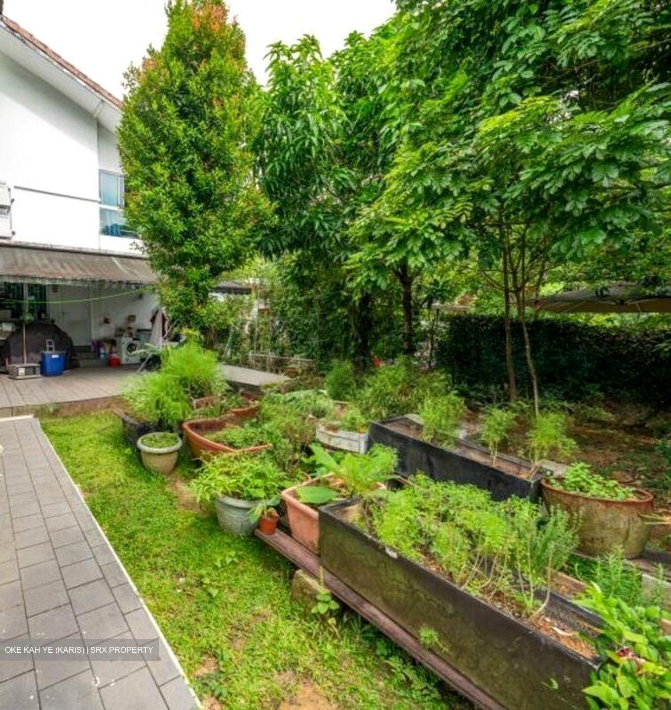Mount Pleasant Road (D11), Detached #574673691